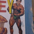 Help: Found project made in Jr High (1992). Who does the body belong to?