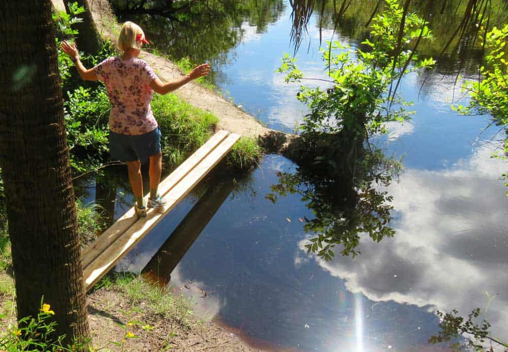 Top hiking trails near Orlando Little Big Econ State Forest Florida