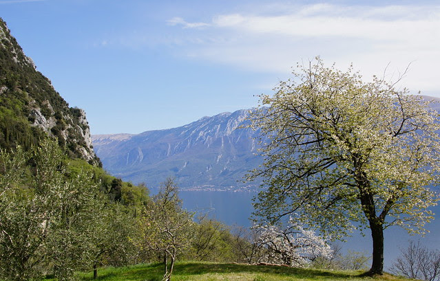 DSC05395