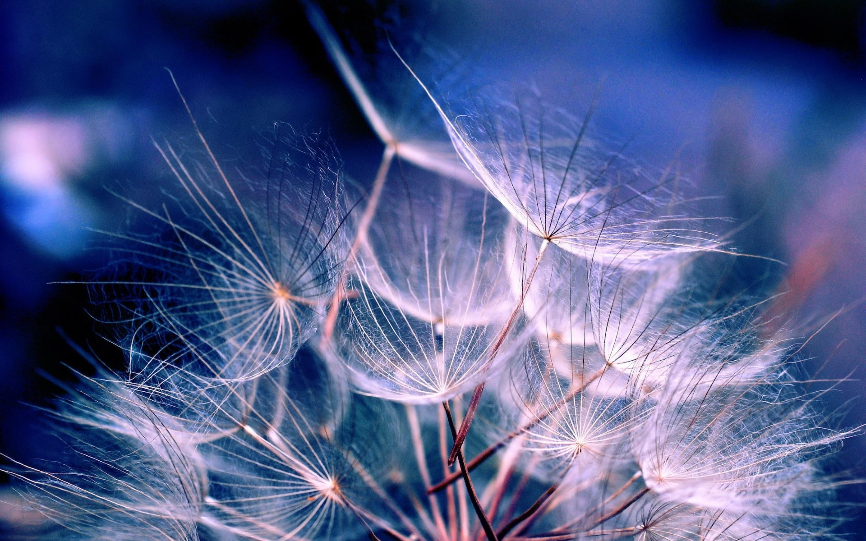 Aesthetic Wallpapers (78+ images)
