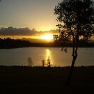 Last light of day... by Tricia Holmes