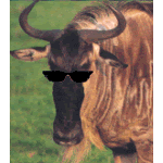 The Gnu in Black