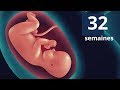 最高のコレクション position bébé 26 sa 614758-Position bébé 26 sa