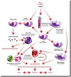 Leukemia Case Study Nursing Crib