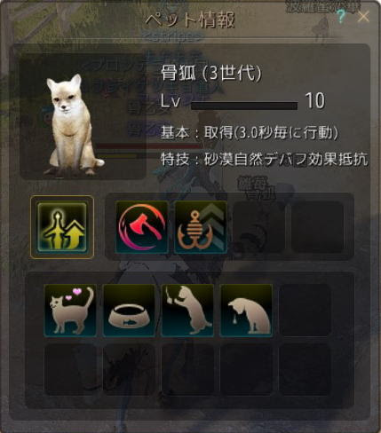 黒い砂漠 マイペット 骨乙女のブログ