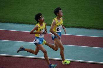 陸上競技部 柏市ナイター陸上 松戸市立常盤平中学校