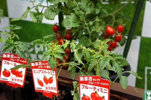 トマ豆富にトマヤムクン 人気レストラン考案の一味違うトマトメニューを食べてみた オタ女
