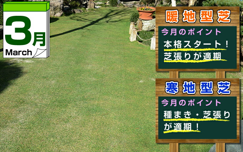 ３月の芝生のお手入れ 今月のポイントはこれ 芝生 芝刈り機のことならバロネスダイレクト