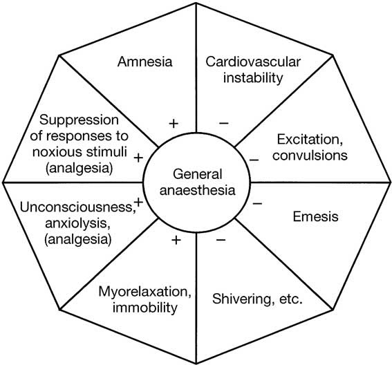 Anesthesia