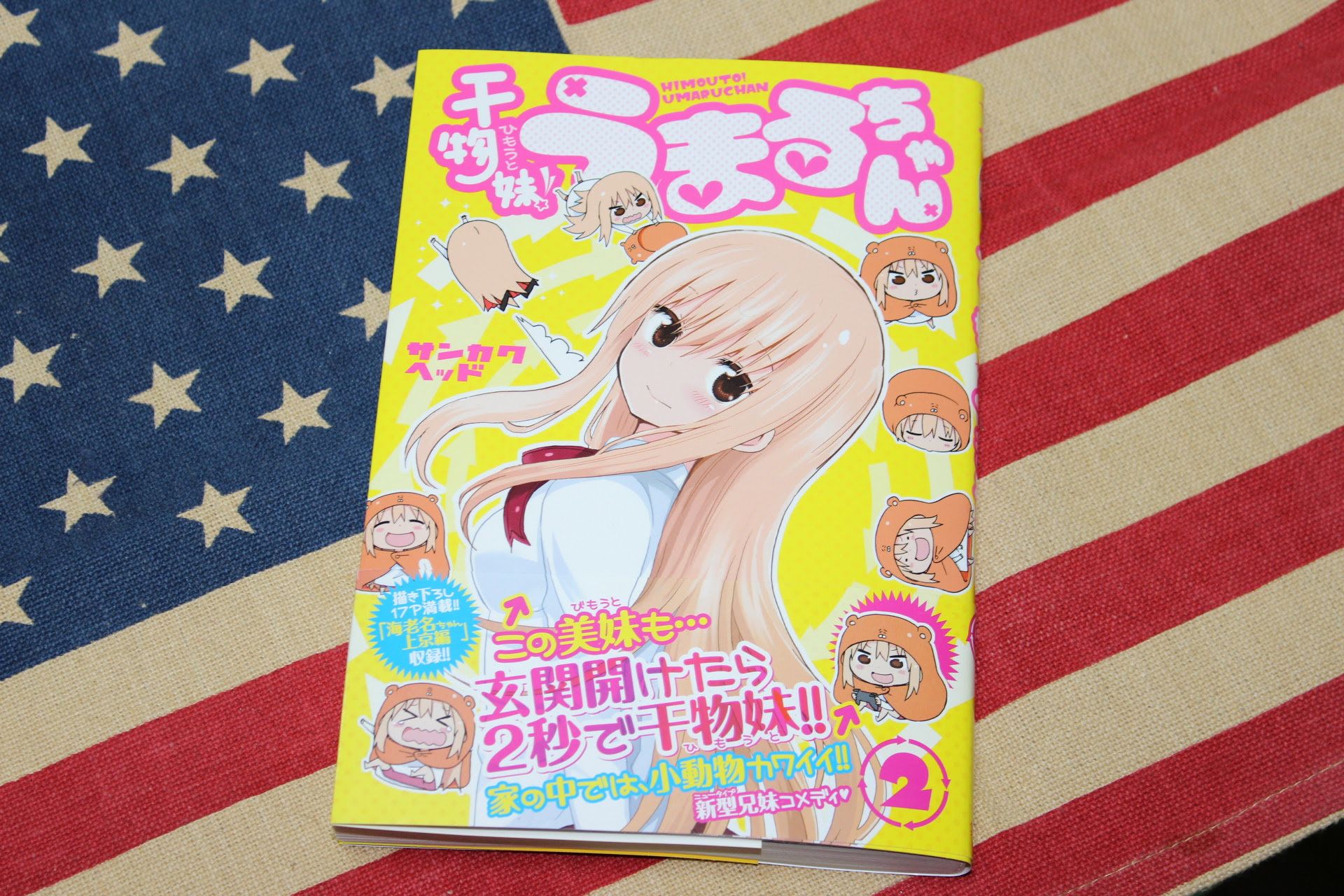 干物妹 うまるちゃん2巻レビュー 何気ないコマに癒しを感じる作品 アキバの王に俺はなる