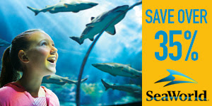 SeaWorld Orlando - Save Over 35% on Tickets!