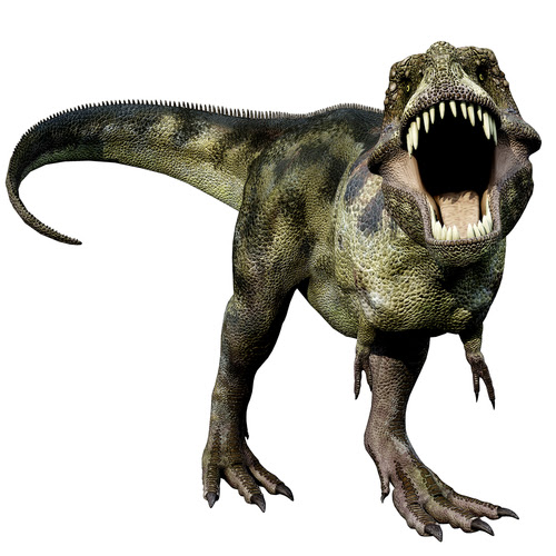 T Rex S Arms Weren T Wimpy They Were Made For Lovin