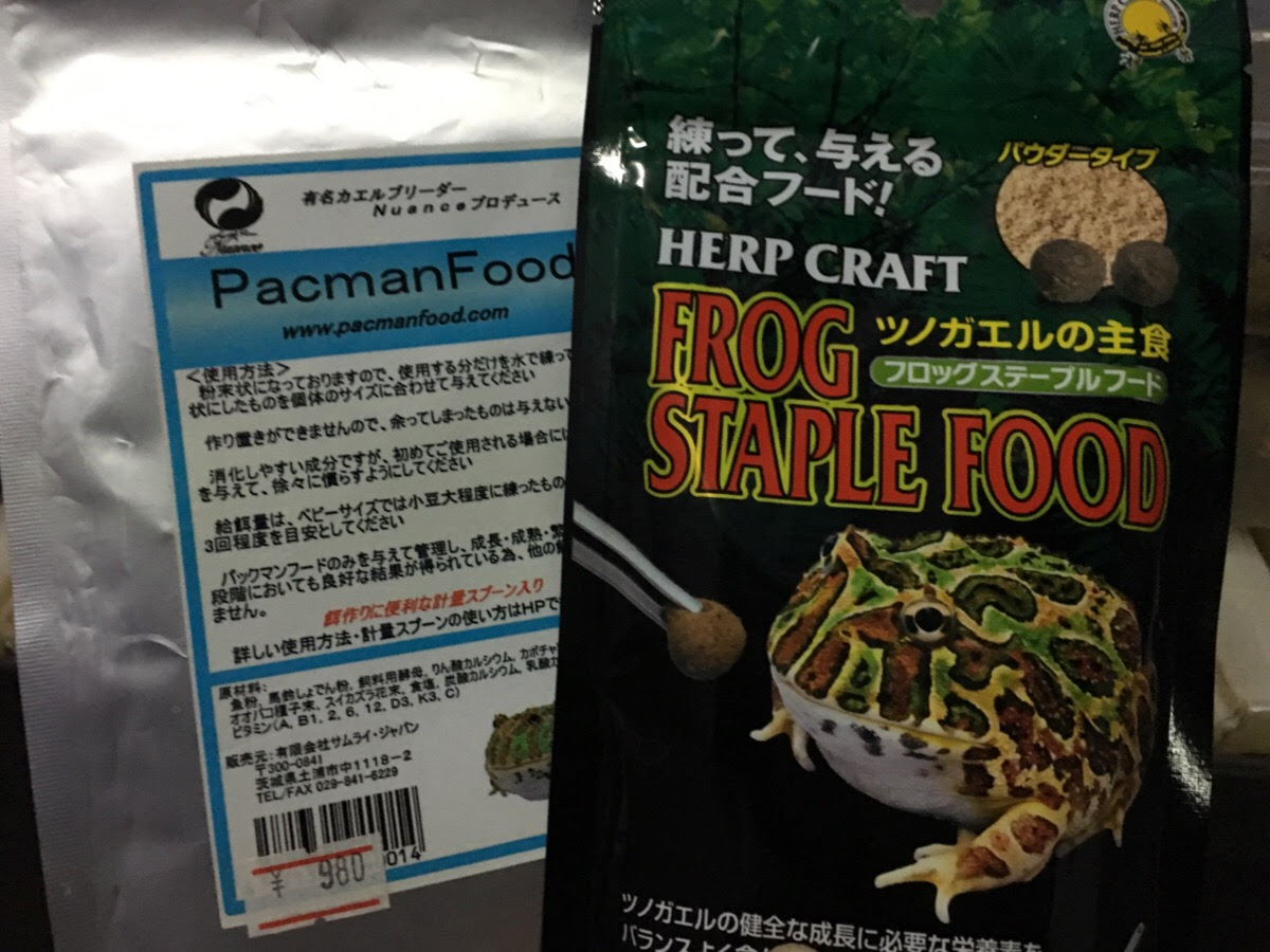 爬虫類飼育サイト Dragon S Gate Blog Archive ツノガエルの新しい餌を試してみる