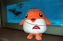 青森県営浅虫水族館 Citydo レジャーパーク特集 北海道 東北エリア