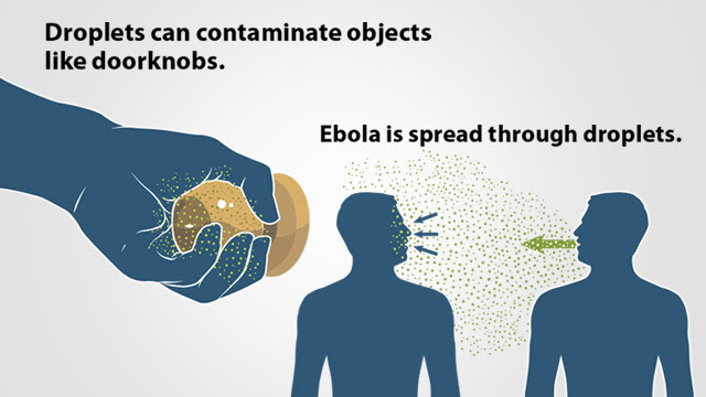 Ebola