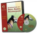dvd.jpg