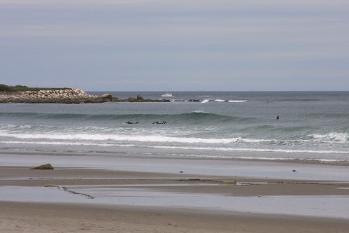 IMG_4136.JPG