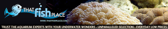 Discount Aquarium Livestock at ThatFishPlace.com