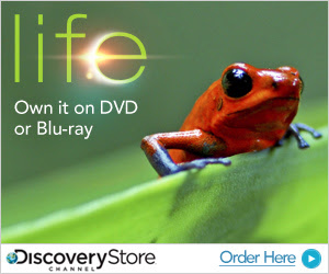 Be the first to own LIFE from Discovery Channel