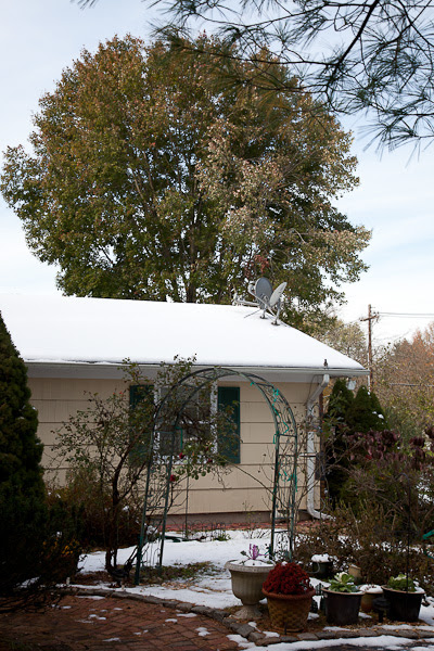 20111031-IMG_9192