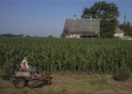 A man mows grass in front of a drought stricken corn field in Welton