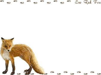 ディズニー画像のすべて 心に強く訴えるリアル 狐 きつね イラスト