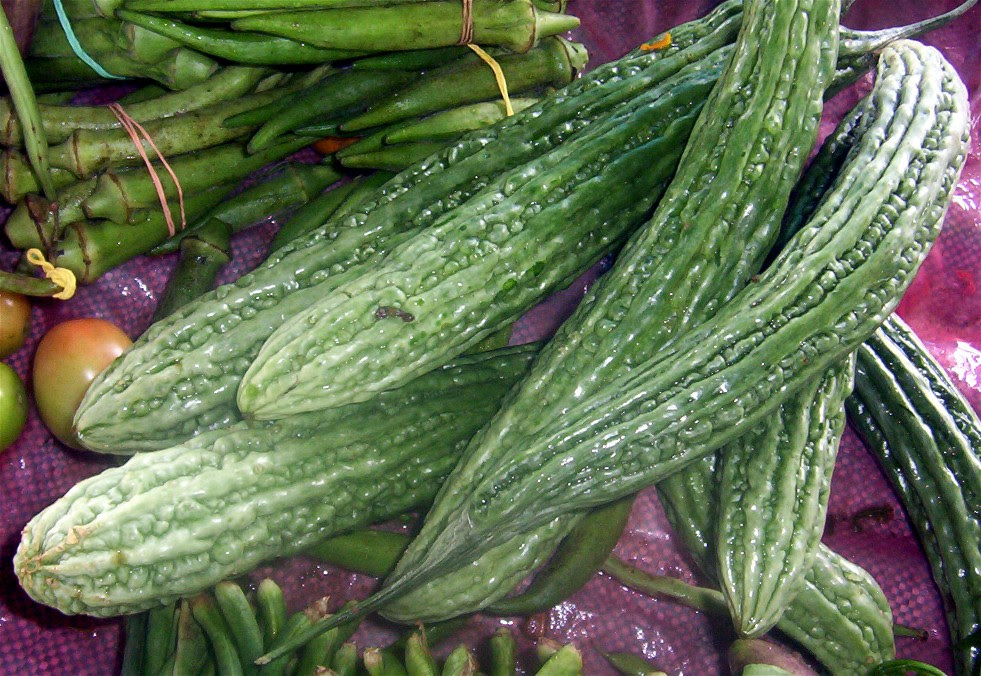 Alamat ng ampalaya sa wikang