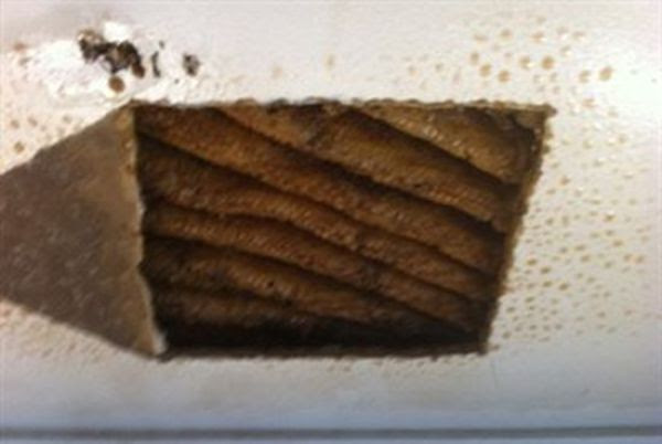 Disturbing Ceiling Surprise
