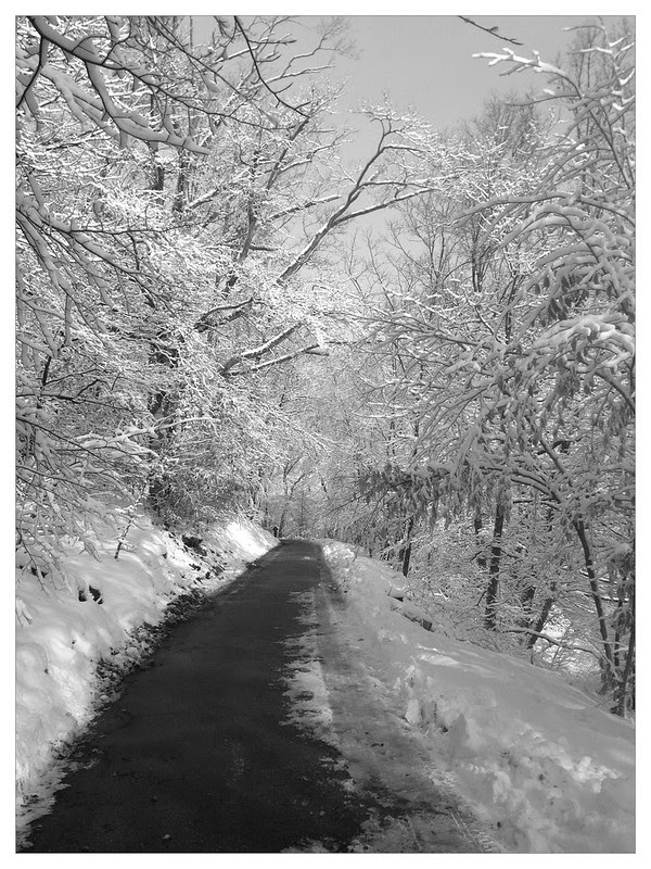 Snowy path