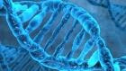 DNA