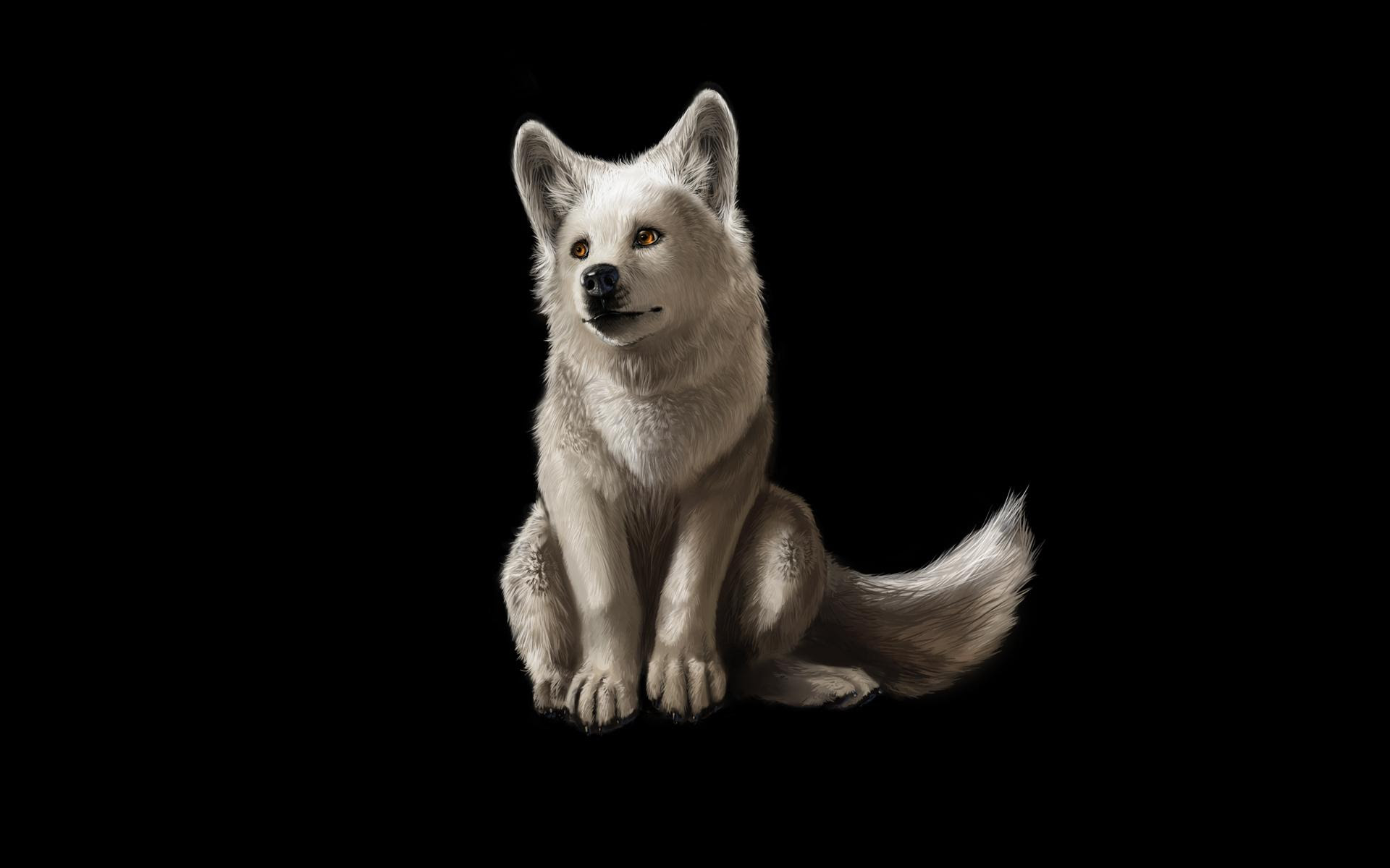 Cool Wolf Backgrounds - Wallpaper Cave