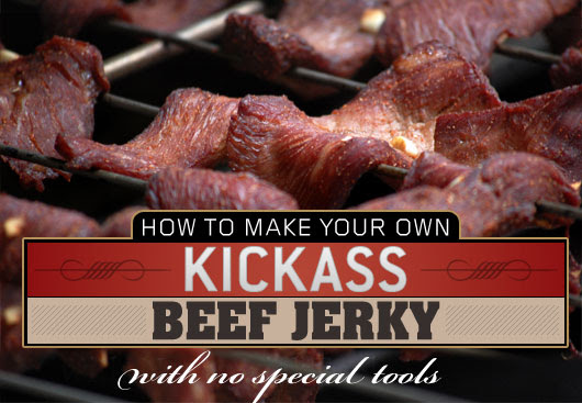 best home dehydrator for jerky
