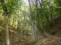 5 любими песни - Народна музика
