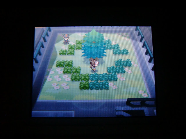 ポケットモンスターbw2 アグノム エムリット をｇｅｔ プレイ日記１８ 突撃ヘタレのゲームプレイ日記