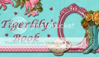 TIGERLILY’S BOOK
