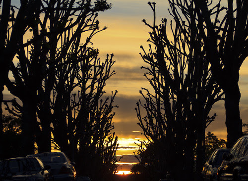 Ferncroft Avenue (Sunset) by Odin5491