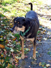 Tut_102008