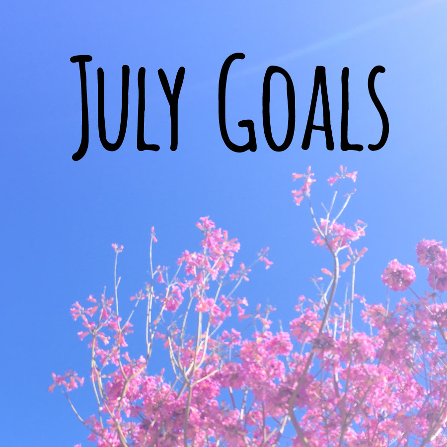 Maximize Your Month + July Goals | Food, Booze, & Baggage