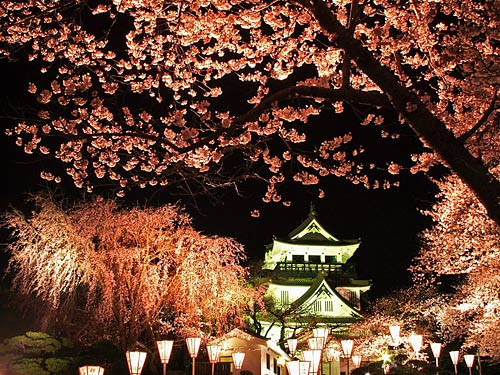 お城と桜 桜 桜 壁紙自然派 楽天ブログ