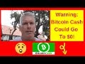 How High Will Bitcoin Cash Go / How High Can Bitcoin's Price Go in 2018? / I expect bitcoin to follow its historical price patterns will bitcoins go up in 2021?