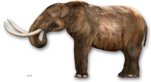 Recriação de mastodonte, espécie que pertence à família dos mamutes (Foto: Dantheman9758/Creative Commons)