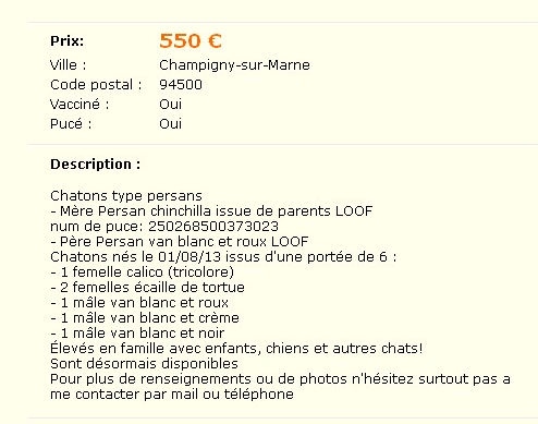 Petites Annonces Chat Chaton Comment Ne Pas Se Faire Avoir