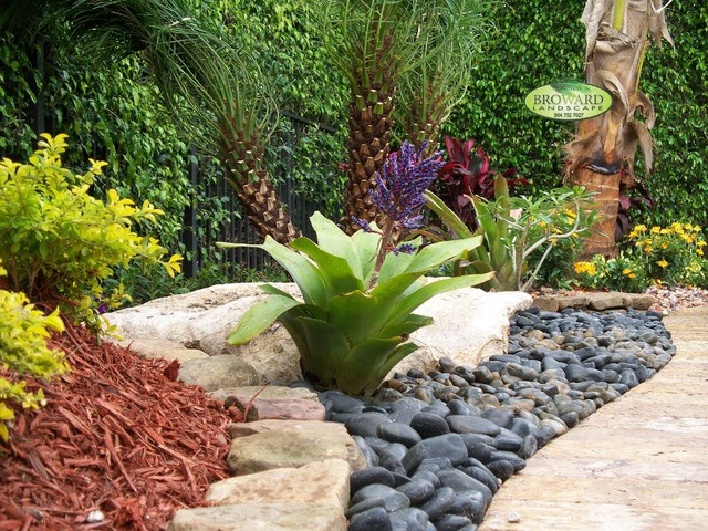 Front Yard Landscape - tropical - landscape - miami - by Broward ...