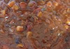 How to Prepare Tasty Pantry-raid Vegetarian Pumpkin Chilli