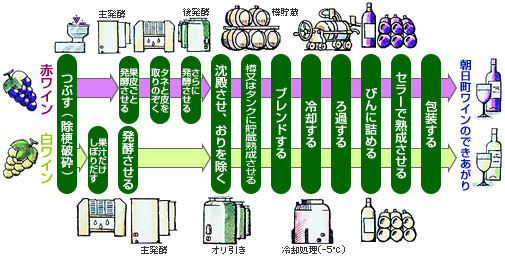 2 ワインの造り方 あさひまちエコミュージアム 山形県朝日町見学情報データベース