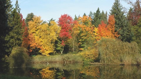 Botanischer Garten Berlin Herbst