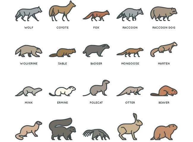 23animal icon 50 free vector icon sets for web and print design
