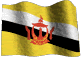 Brunei flag Pictures, Images and Photos