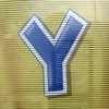 Y