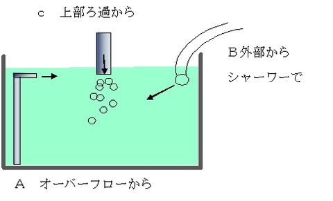 なぜ 油膜が張ってしまう 考えてみよう 雑学 海水魚のパイオニア 日海センター 日海フィッシュコム